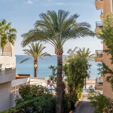 公寓 Albir Playa *